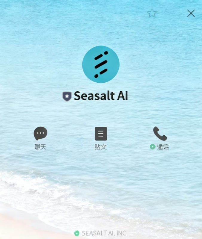 LINE Call Plus 在 Seasalt.ai 的操作示意